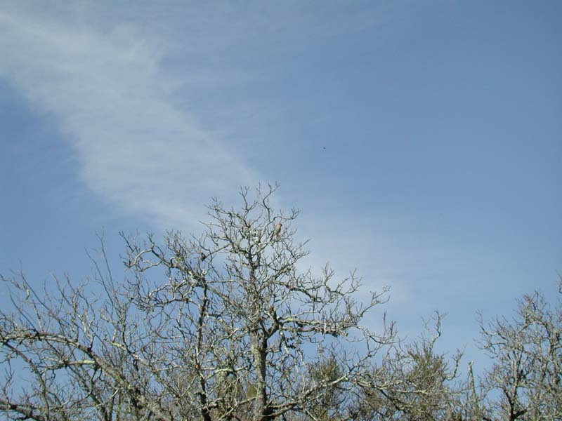 DSCN2343