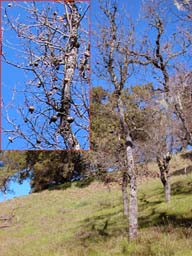 DSCN0043